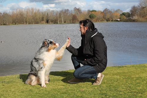 Educatrice canine professionnelle